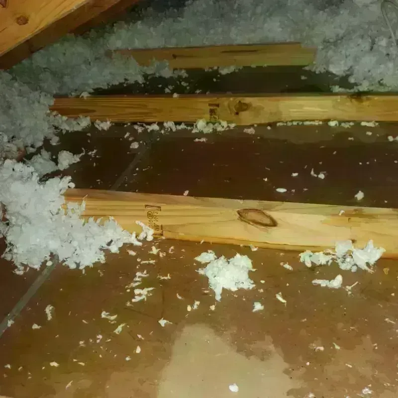 Attic Water Damage in Summit Park, UT