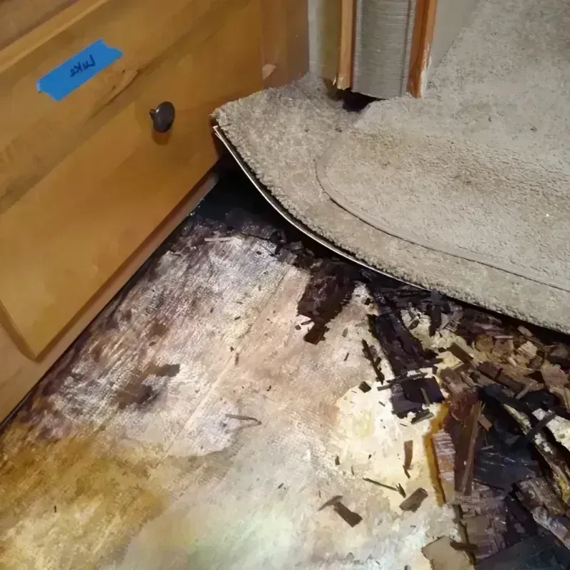 Wood Floor Water Damage in Summit Park, UT